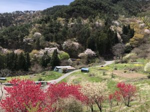 ウォーキング　～千曲公園・半過オリエンテーリング～