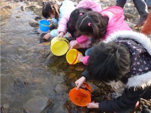 鮭稚魚放流会