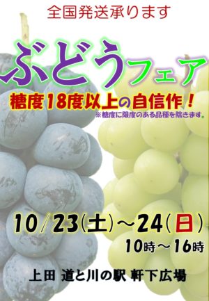 ぶどうフェア2021　10/23,24(土,日)開催　全国発送