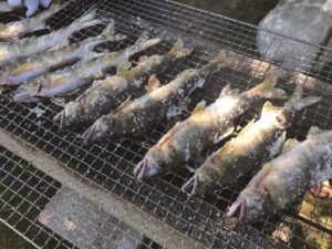 鮎の塩焼き