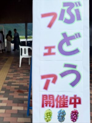 【イベント】ぶどうフェア・週末開催中！