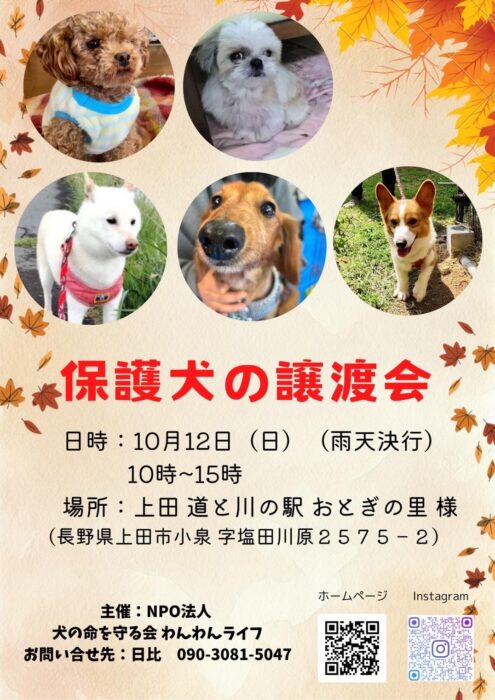 譲渡会20251012