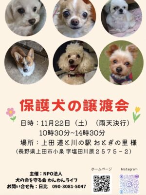 保護犬の譲渡会