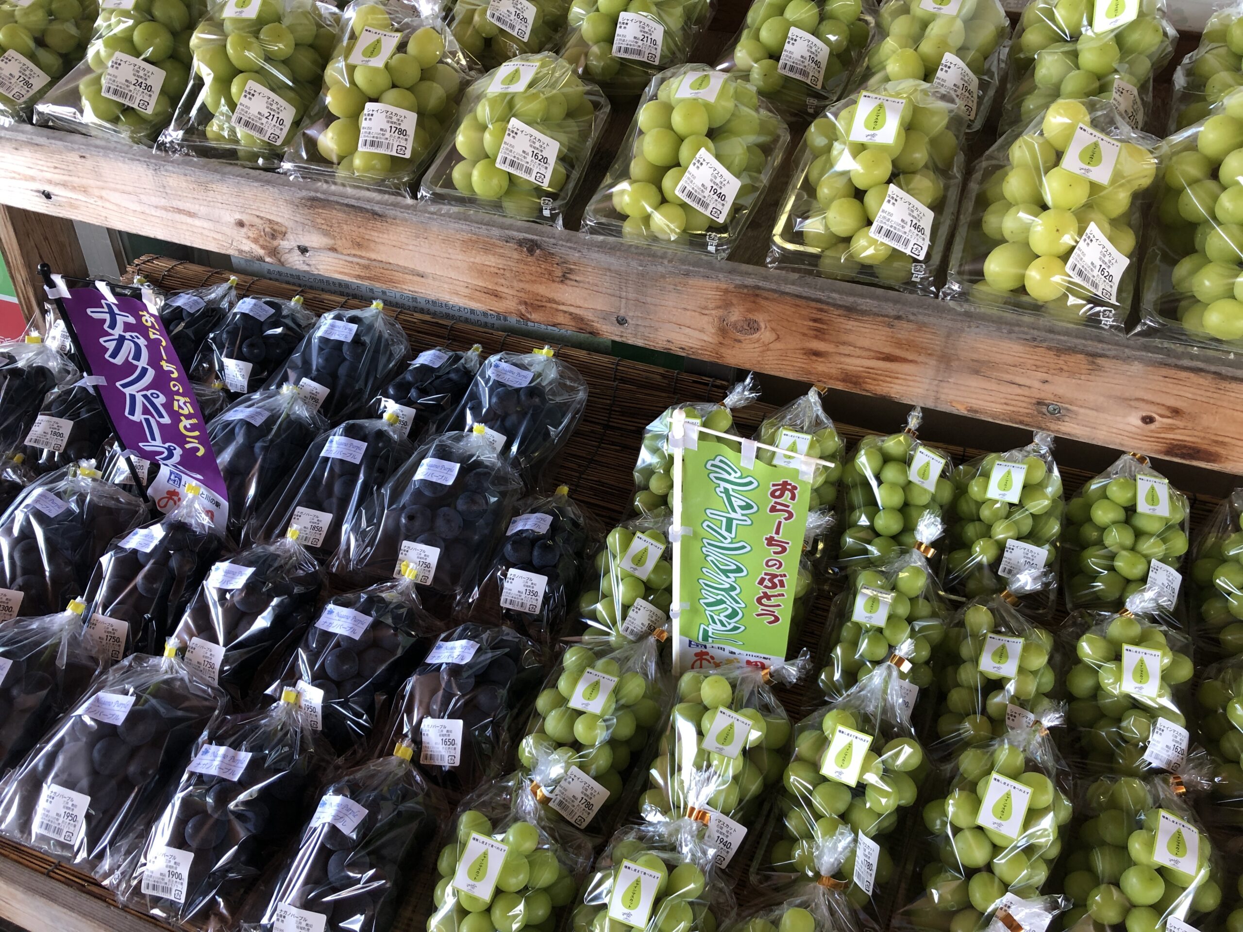 ぶどうフェア2024