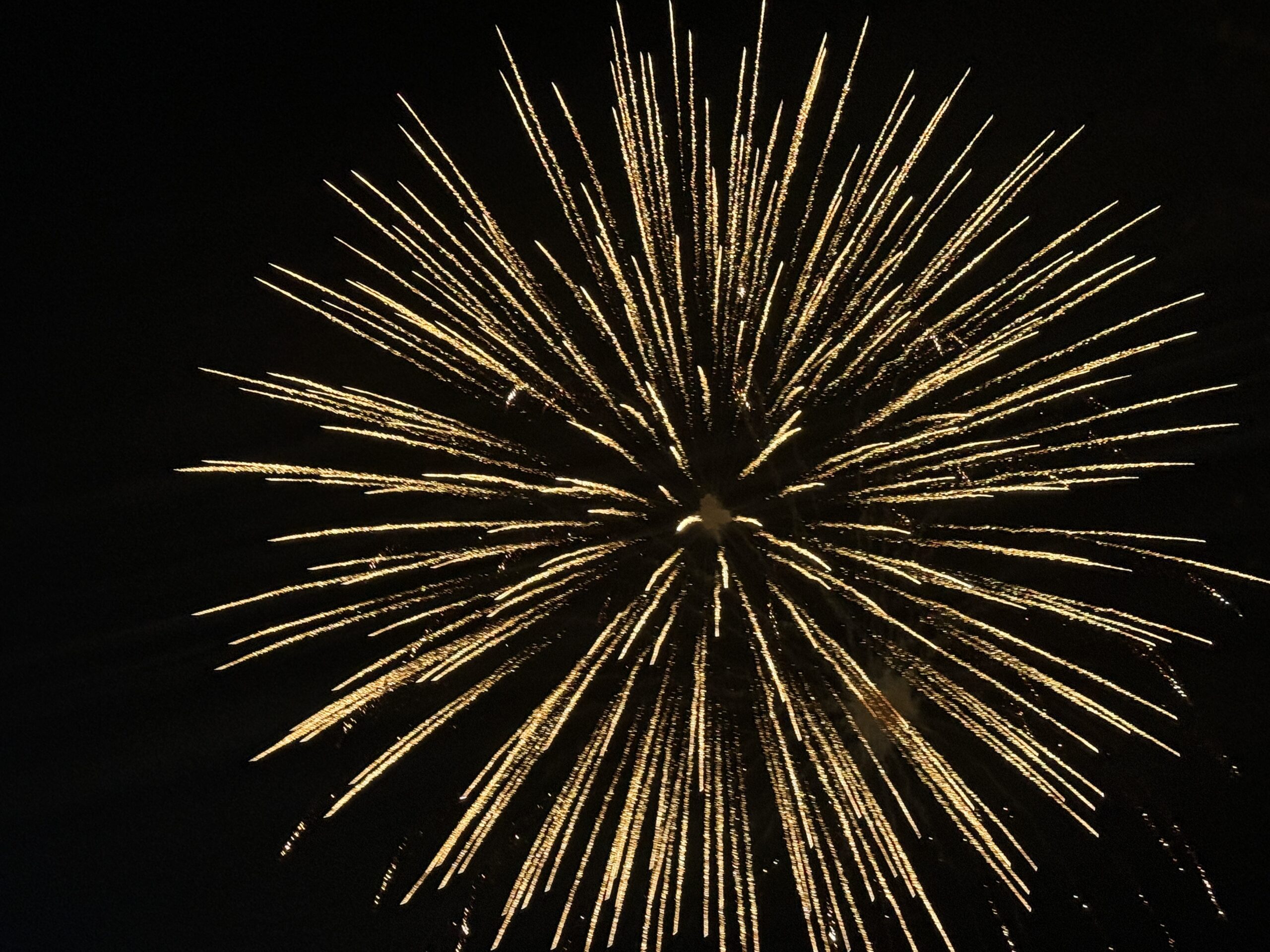 花市・花火大会2025