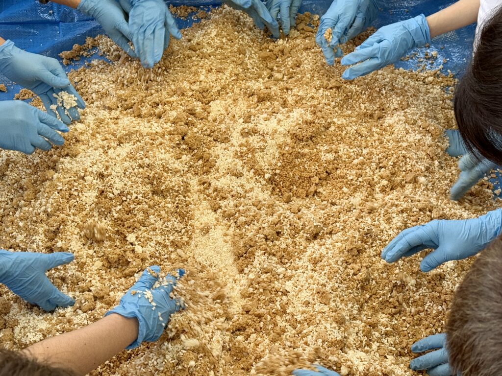 味噌仕込み体験2025