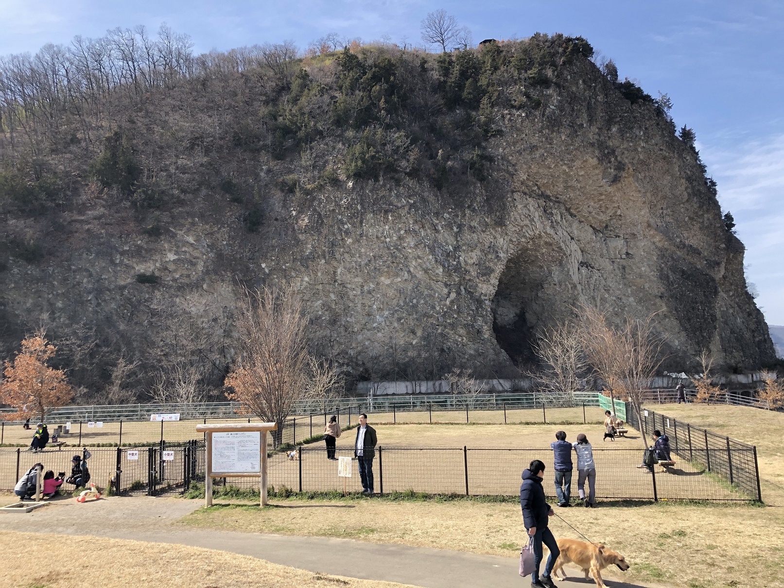 ドッグラン_秋冬