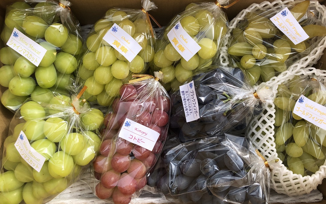 詰め合わせぶどう