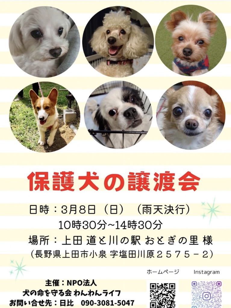 「保護犬の譲渡会」開催のお知らせ