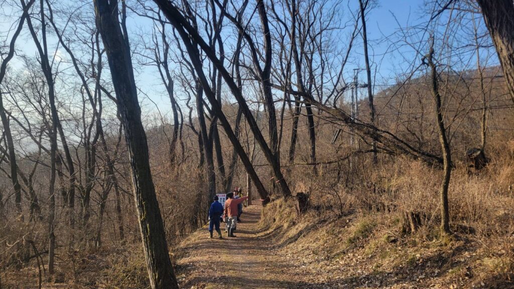 千曲公園景観整備作業