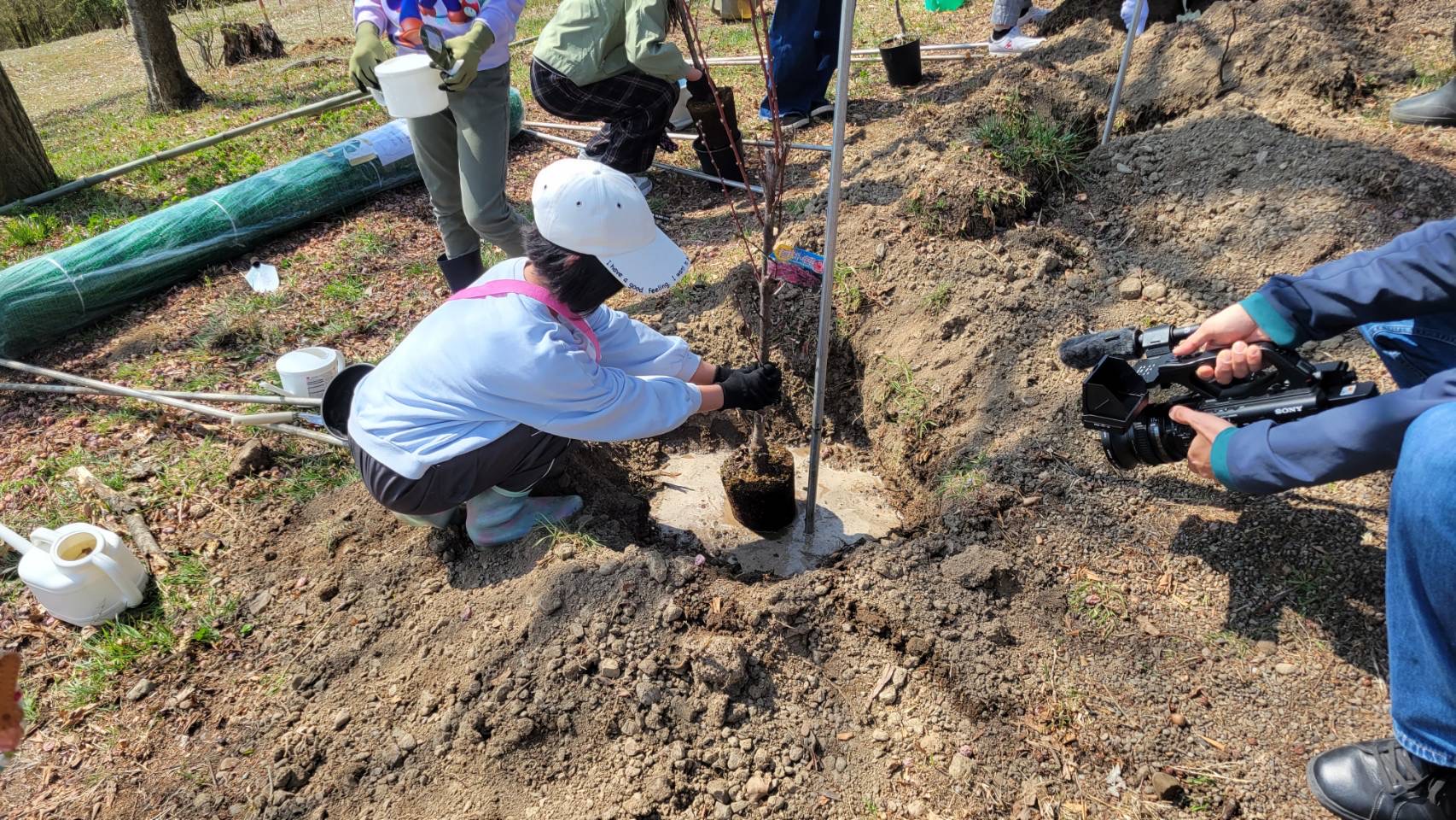 ハナモモの記念植樹を行いました(UCVにて放映)