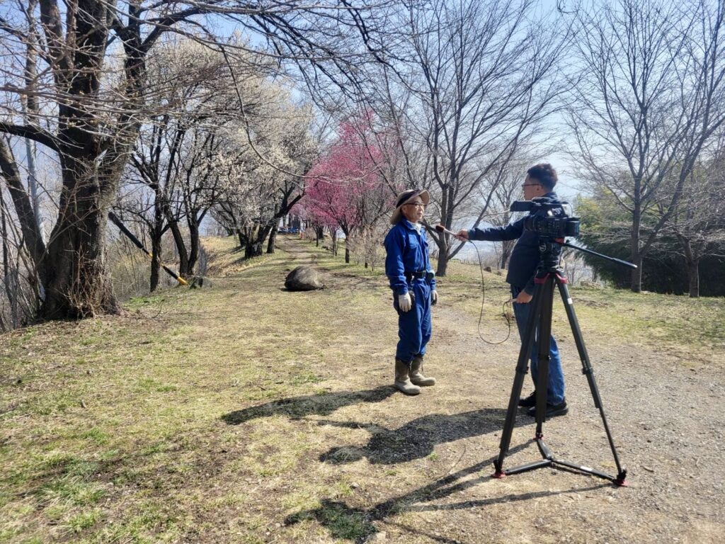 千曲公園_ハナモモ植樹