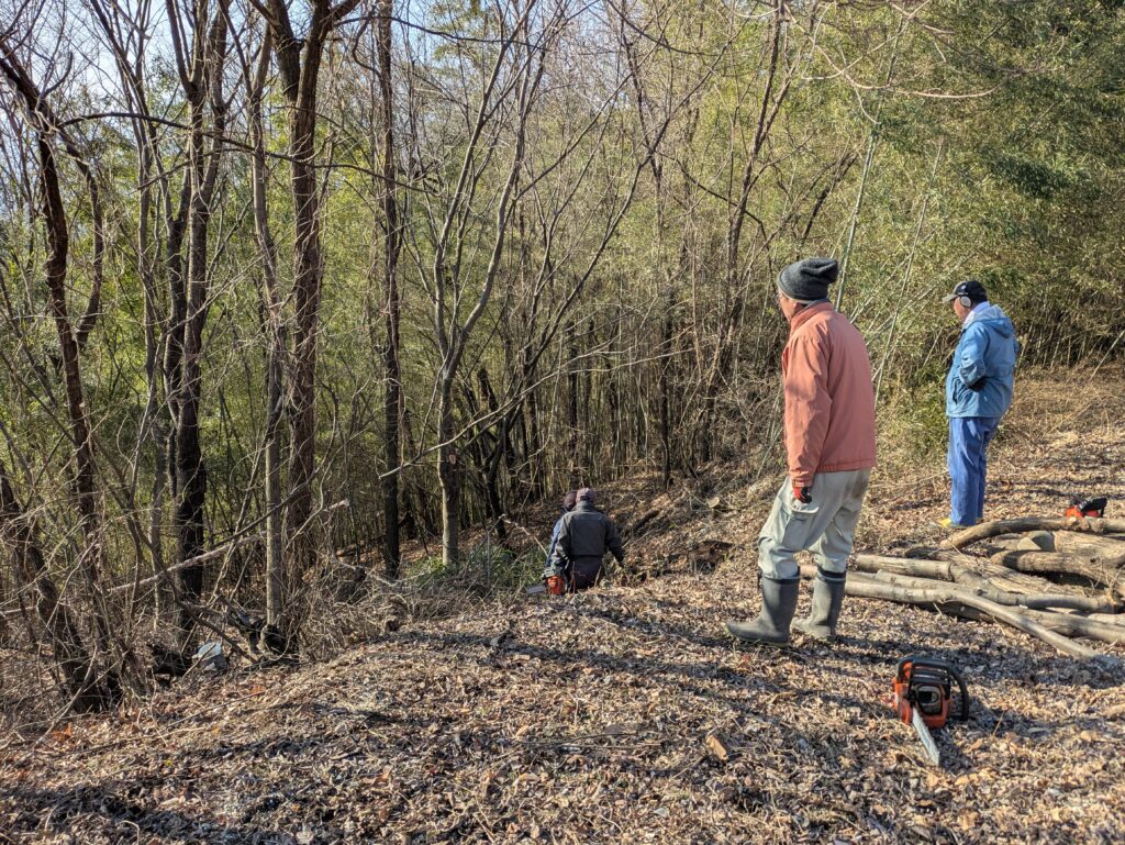 千曲公園景観整備作業
