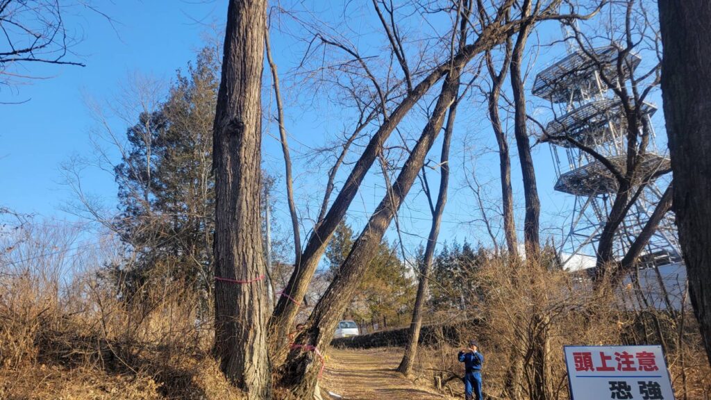 千曲公園景観整備作業