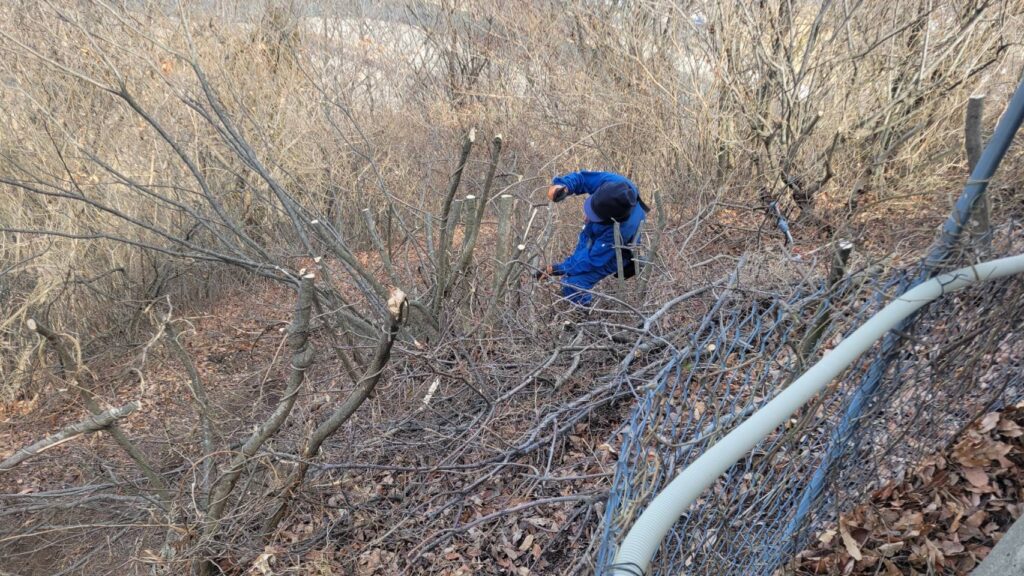 千曲公園景観整備作業