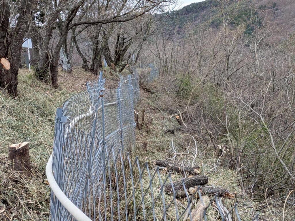 千曲公園景観整備作業