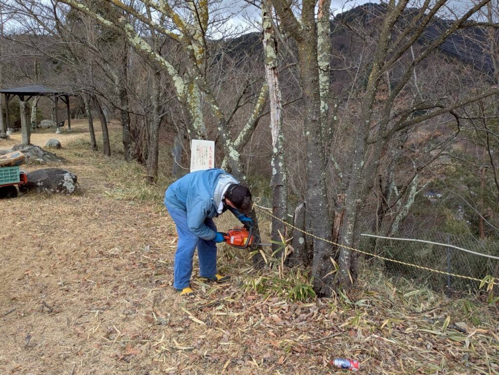 千曲公園景観整備作業