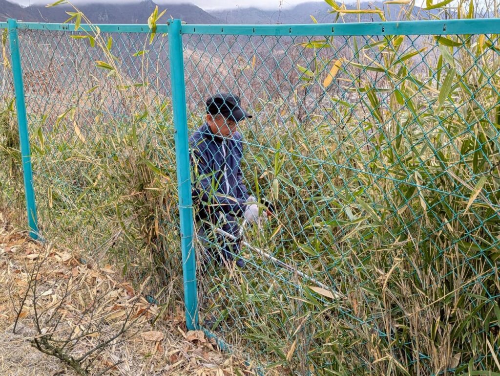 千曲公園景観整備作業