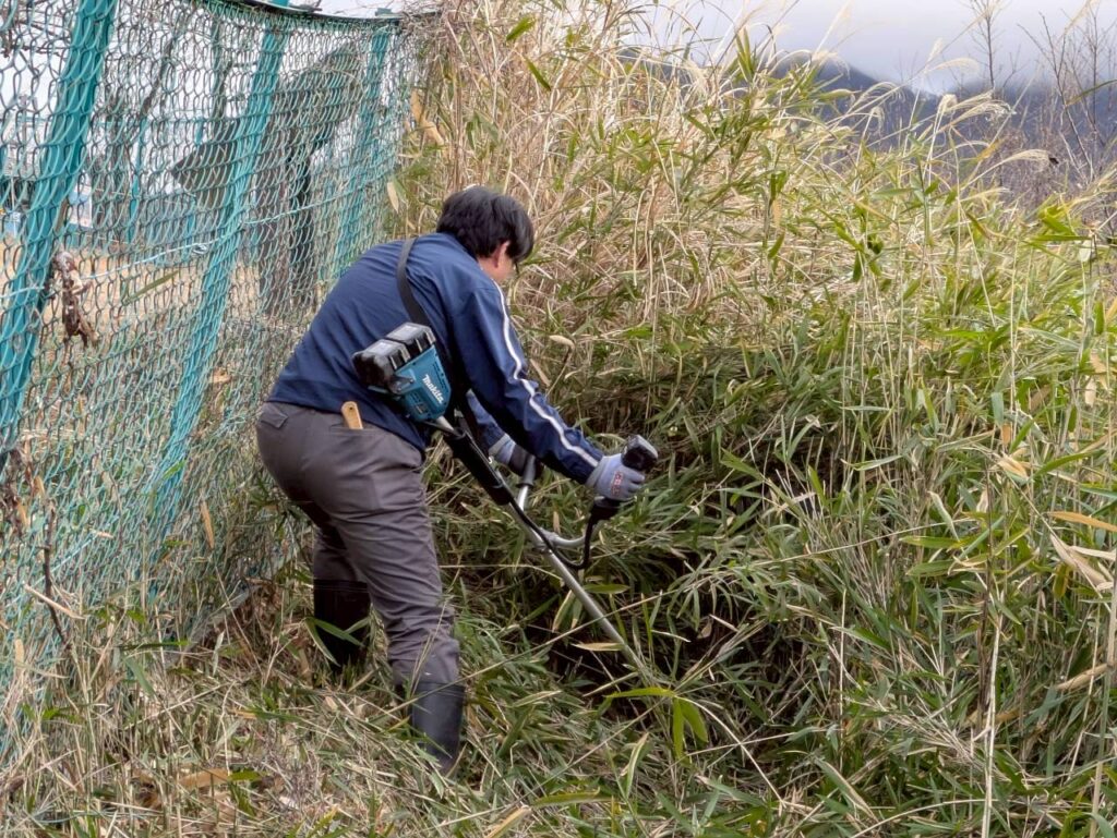 千曲公園景観整備作業