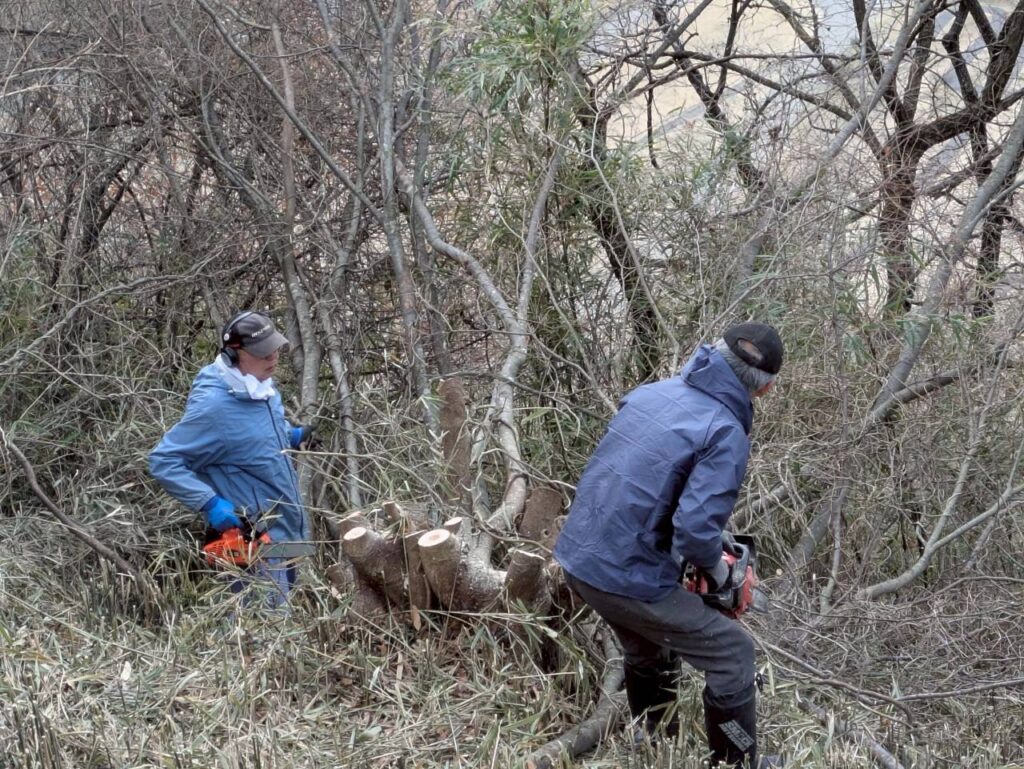 千曲公園景観整備作業