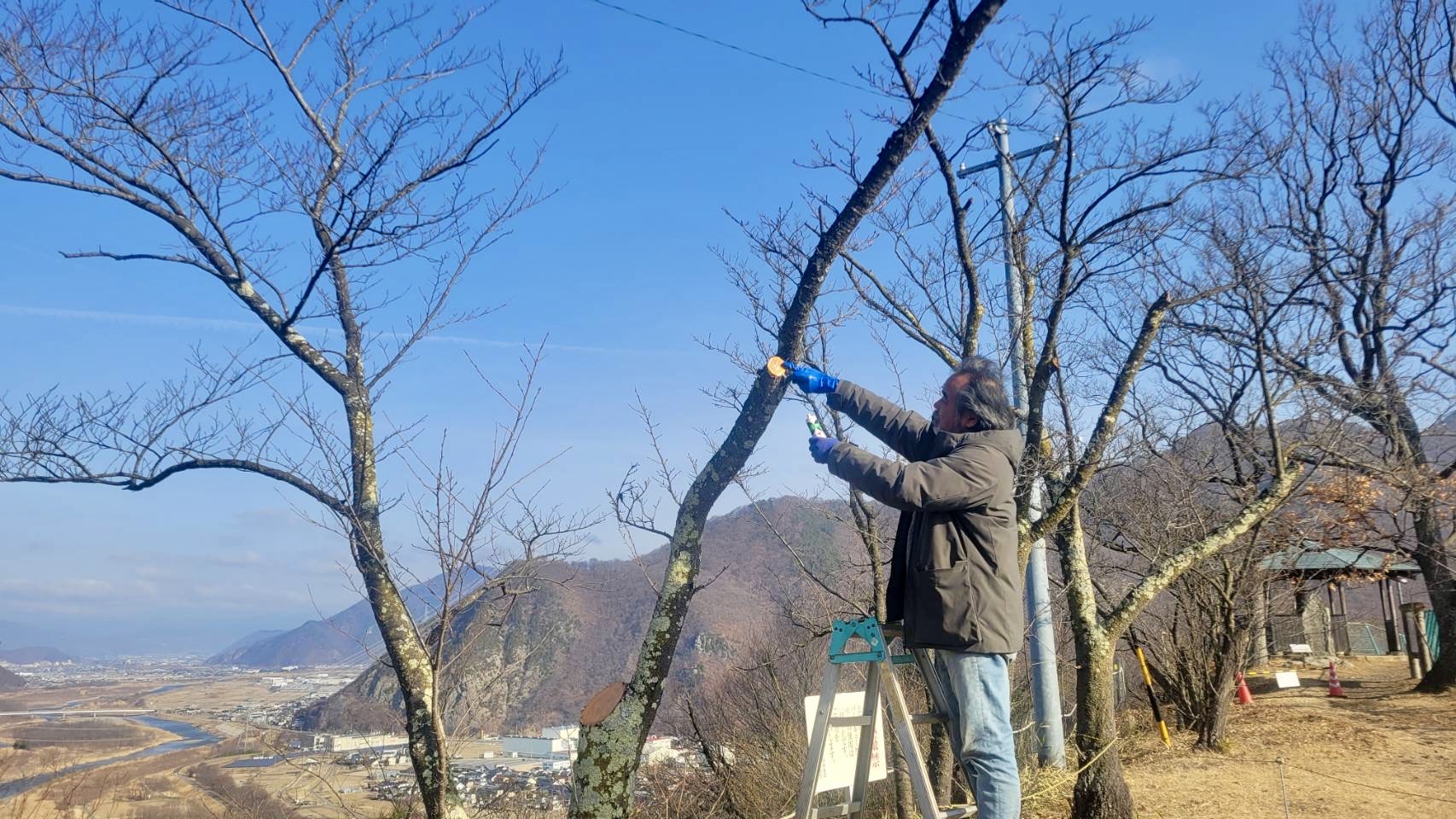 活動報告5(景観整備)