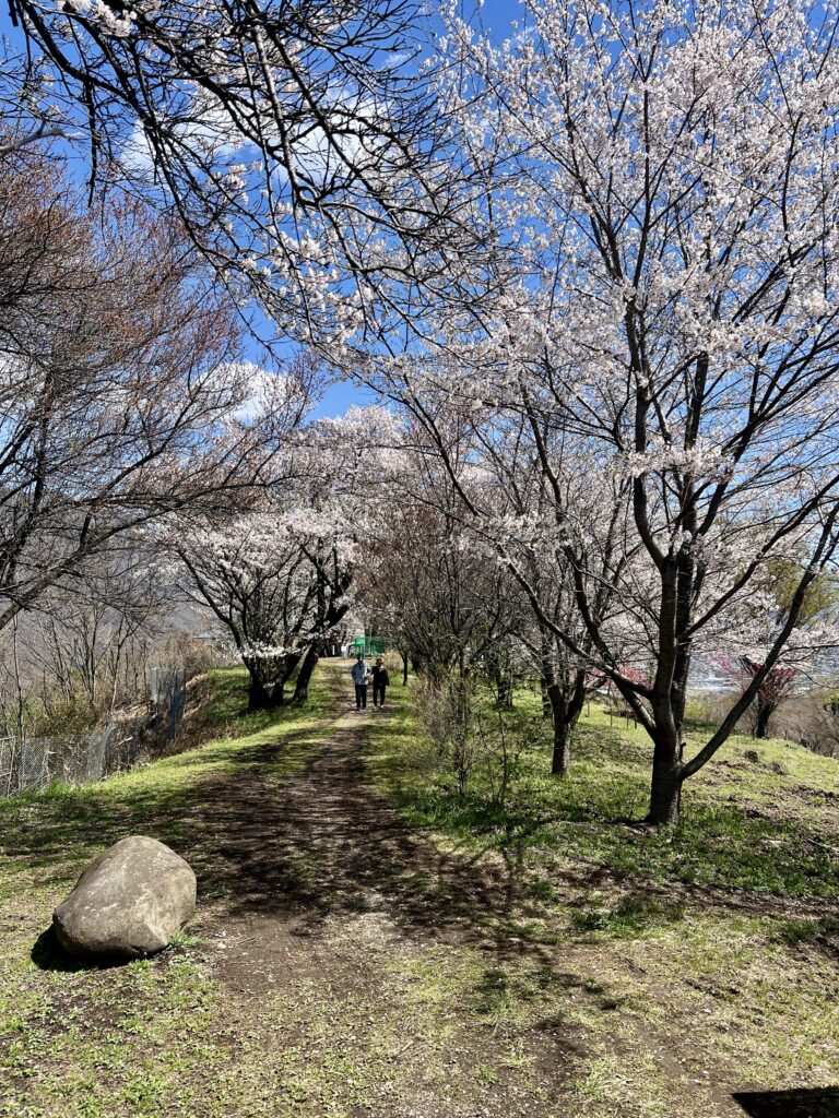 千曲公園100周年記念式典