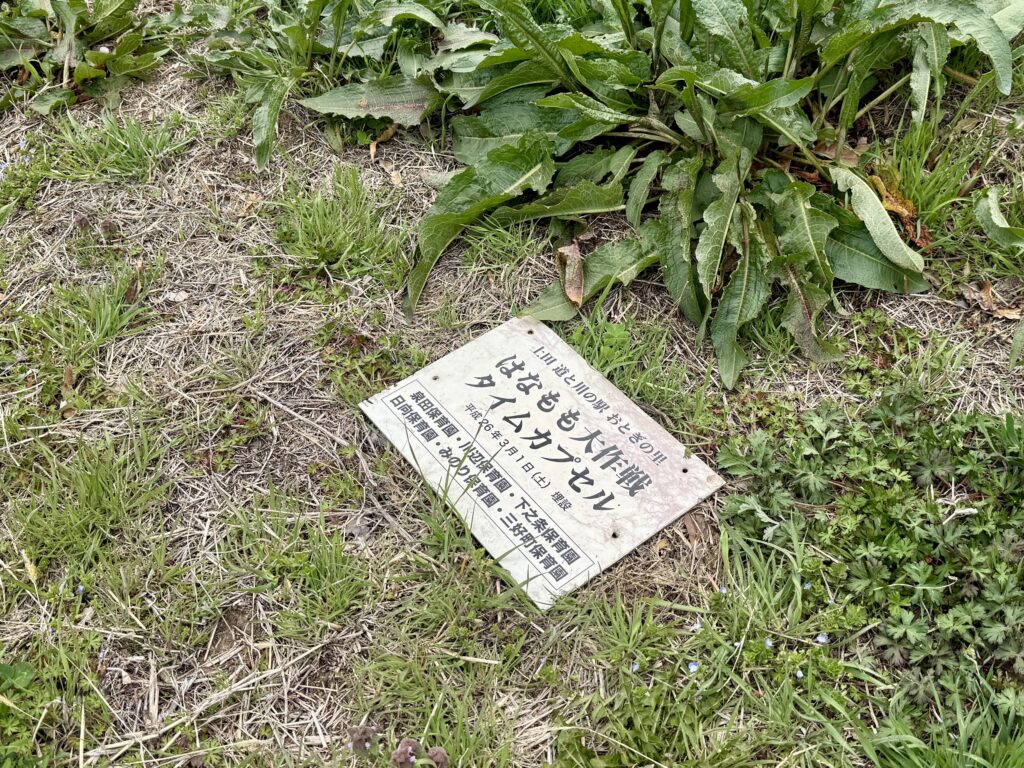 はなもも大作戦