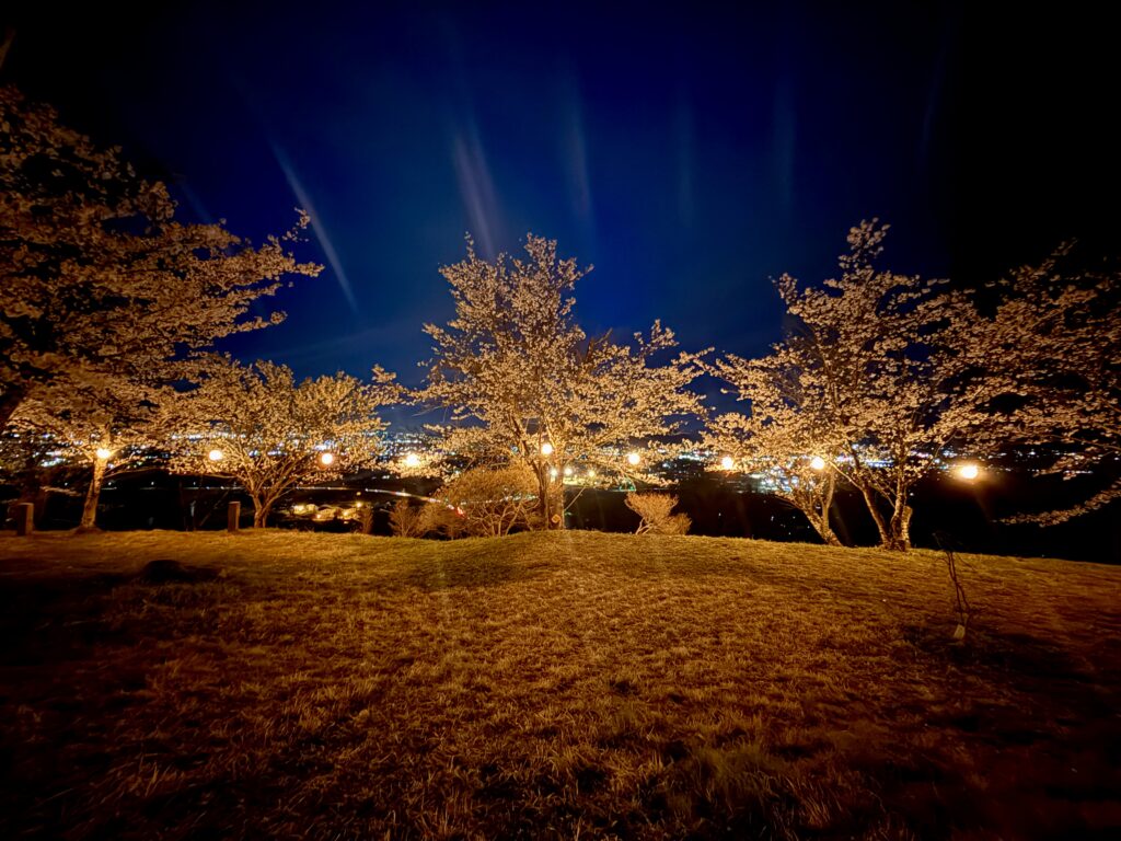 千曲公園ぼんぼり