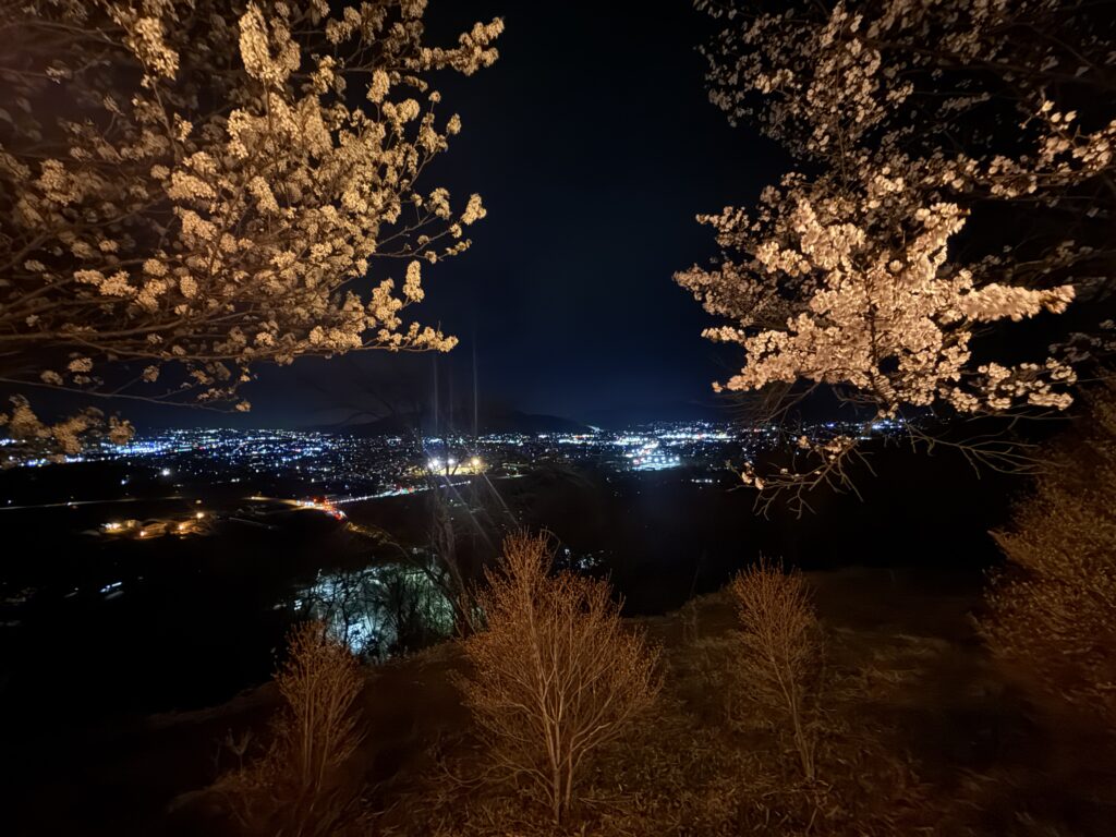 千曲公園ぼんぼり