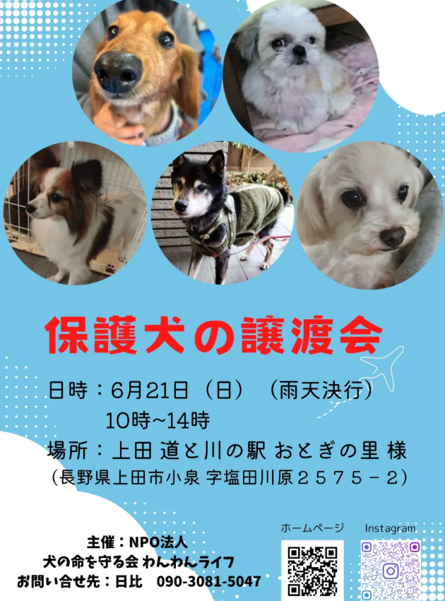 「保護犬の譲渡会」開催のお知らせ