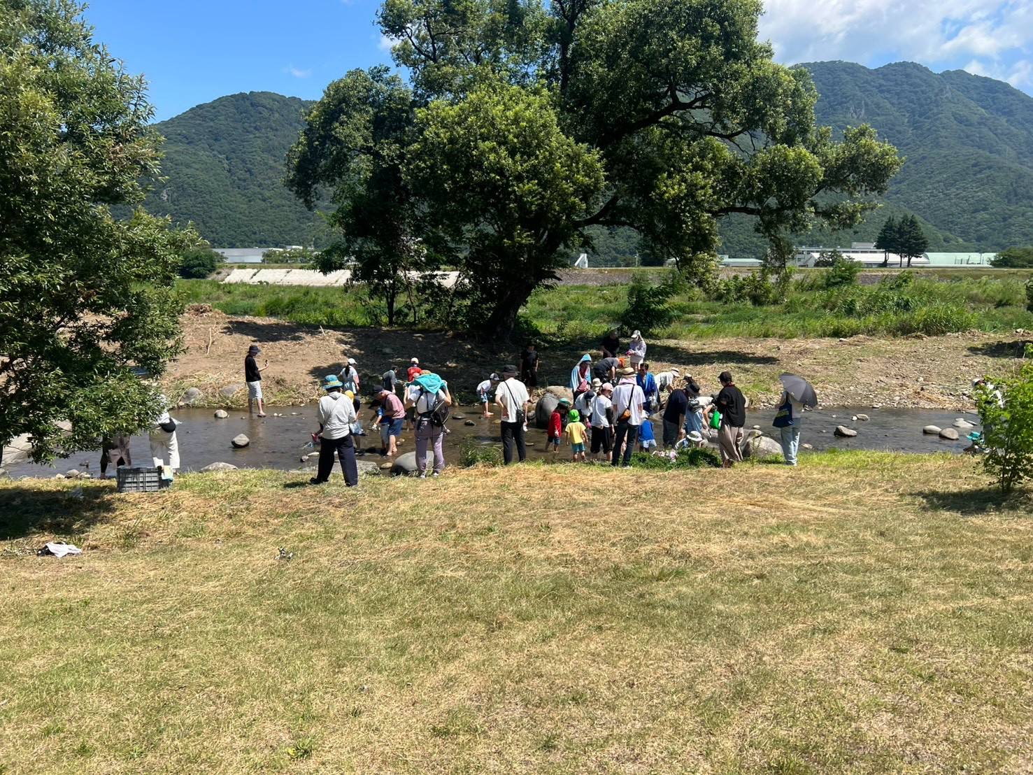 鮎のつかみ取り開催のお知らせ